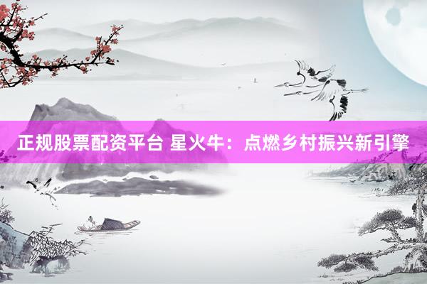 正规股票配资平台 星火牛：点燃乡村振兴新引擎