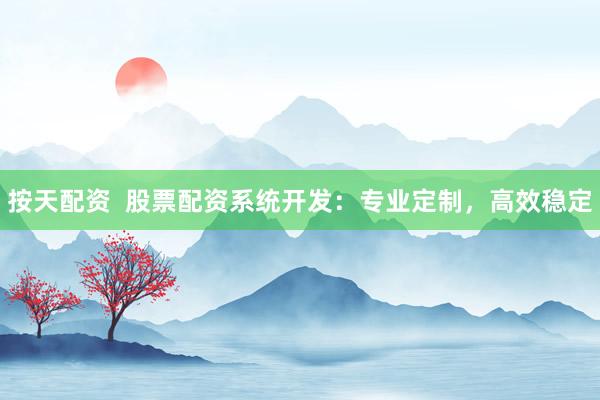 按天配资  股票配资系统开发：专业定制，高效稳定