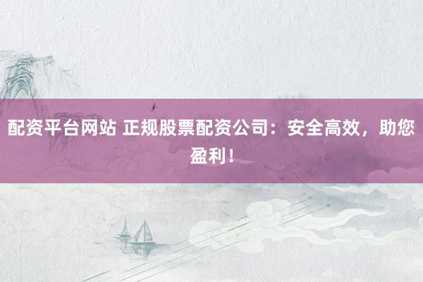 配资平台网站 正规股票配资公司：安全高效，助您盈利！
