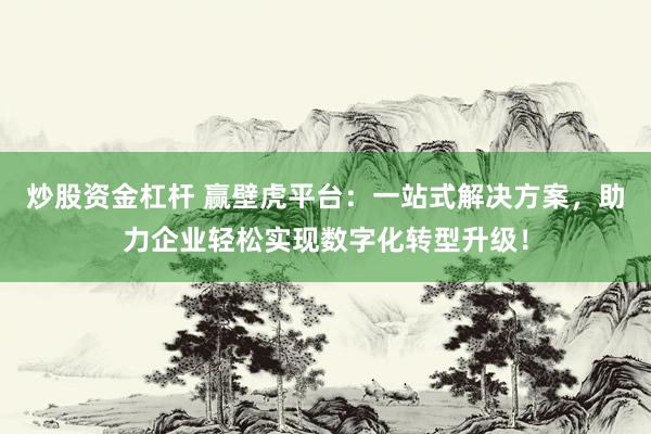 炒股资金杠杆 赢壁虎平台：一站式解决方案，助力企业轻松实现数字化转型升级！