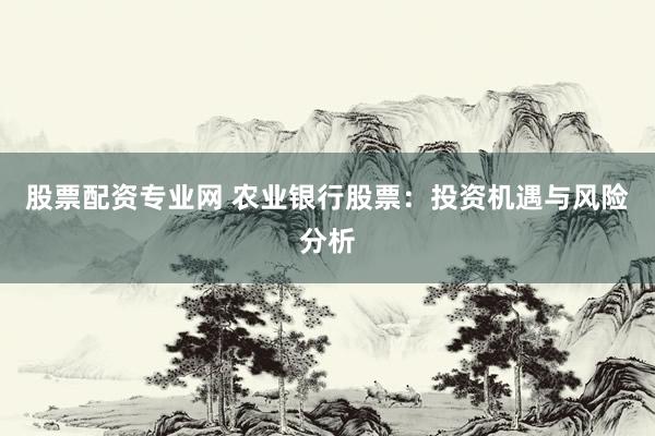 股票配资专业网 农业银行股票：投资机遇与风险分析