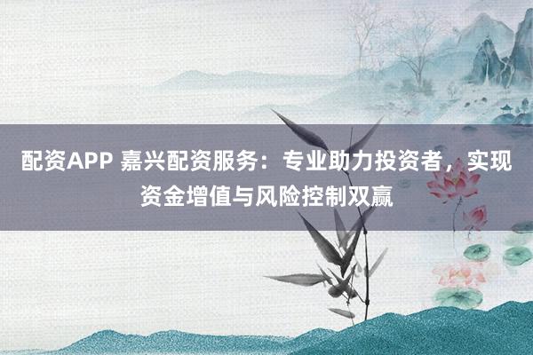 配资APP 嘉兴配资服务：专业助力投资者，实现资金增值与风险控制双赢