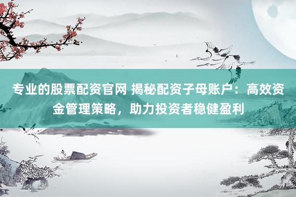 专业的股票配资官网 揭秘配资子母账户：高效资金管理策略，助力投资者稳健盈利