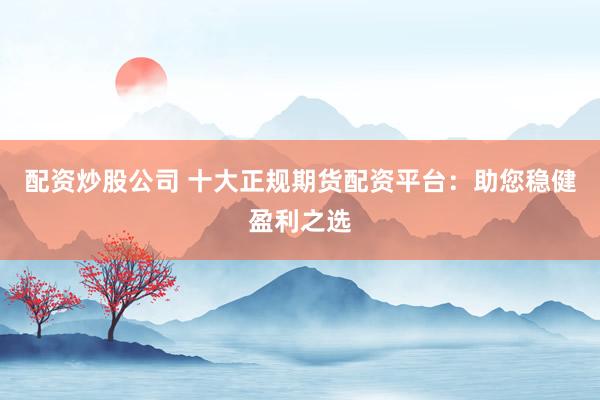 配资炒股公司 十大正规期货配资平台:助您稳健盈利之选